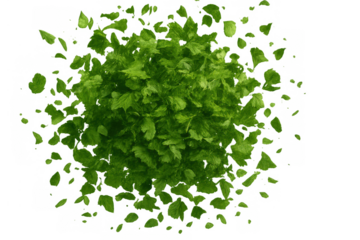 Fresh green leaves bursting and flying, creating a dynamic nature explosion, isolated on transparent background