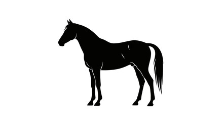 Obraz premium A dark silhouette of a horse stands gracefully against a bright white field, showcasing its elegant.