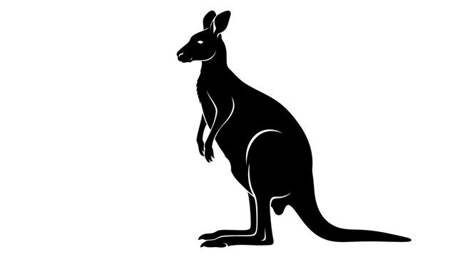 A kangaroo is standing tall with its powerful hind legs and long tail, showcasing its unique.