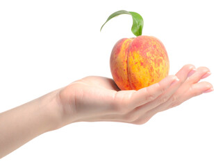 A ripe peach rests gently on an open hand against a black background