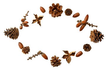 背景が透明の松ぼっくりとどんぐりと傘のついてどんぐりのクローズアップ