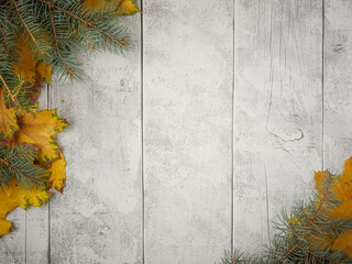 Gold yellow fall maple leaves and evergreen pine spruce branch needles greenery on white rustic wood plank table. Autumn seasonal overhead flatlay