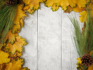 Gold yellow fall maple leaves and evergreen pine spruce branch needles greenery on white rustic wood plank table. Autumn seasonal overhead flatlay