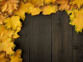 Gold yellow fall maple leaves on black rustic wood plank table. Autumn Halloween seasonal overhead flatlay