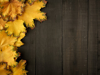 Gold yellow fall maple leaves on black rustic wood plank table. Autumn Halloween seasonal overhead flatlay