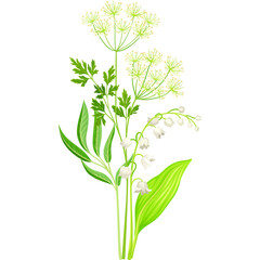 A delicate bouquet of white lily of the valley flowers and green dill herb with a transparent background