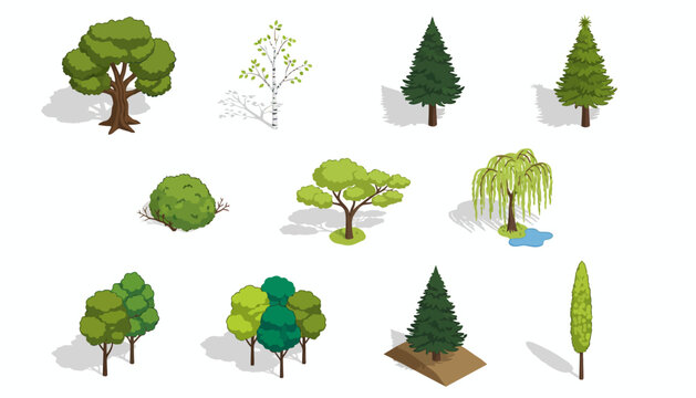 Isometric Tree Icon Set for Game Development, Landscape Design, Architectural Visualization - Isolated on White Background