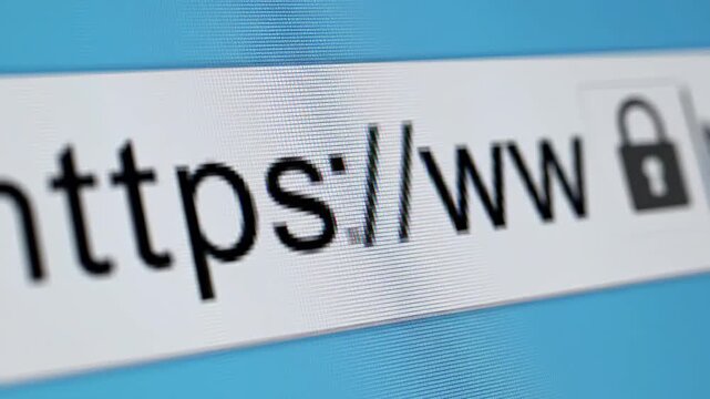 Secure Hypertext Transfer Protocol on Blue Screen With Cursor