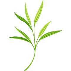 A Delicate Green Leafy Branch with Vibrant Green Foliage Detailed Texture Isolated on a Transparent Background