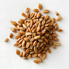 Obraz premium Neat Cluster of Whole Grain Spelt Grains on White Background for Healthy Food and Nutrition Concepts