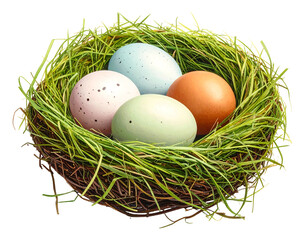 Obraz premium Four pastel eggs sit nestled in a vibrant green nest woven with twigs, set against a transparent backdrop