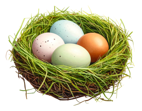 Four pastel eggs sit nestled in a vibrant green nest woven with twigs, set against a transparent backdrop
