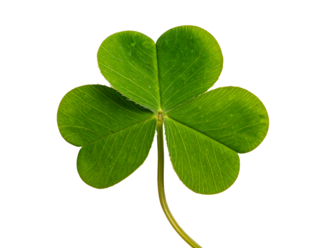 Green clover, three-leaf shape. Isolated on black. Close-up with stem visible - Powered by Adobe