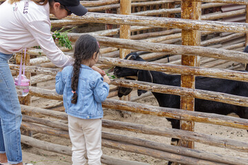 Madre e hija alimentando a un chivo en la granja del zool&oacute;gico