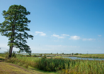 Fort Anahuac Park on the Trinity Bay coast
