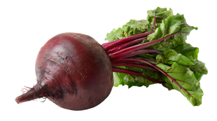 Beetroot with green leaves on transparent background, closeup shot of fresh vegetable
