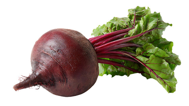 Beetroot with green leaves on transparent background, closeup shot of fresh vegetable