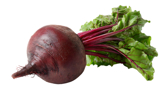 Beetroot with green leaves on transparent background, closeup shot of fresh vegetable