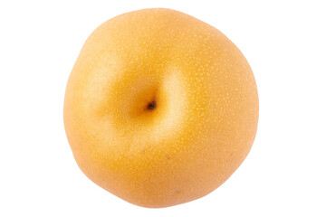 透明背景（png）に1個の梨（豊水）