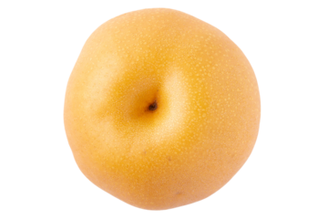 透明背景（png）に1個の梨（豊水）