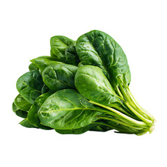 Obraz premium Fresh spinach bunch with water droplets closeup, vibrant green leaves on transparent background