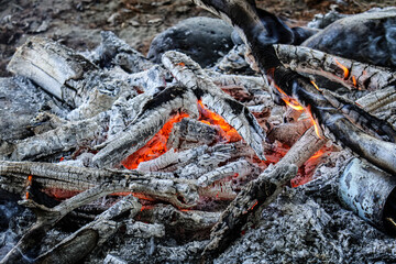 Dying summer campfire with glowing red embers in daylight