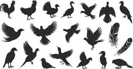 Bird and feather silhouettes, flying birds, standing birds, black shapes, avian icons, wildlife elements, flat vector illustration, nature design