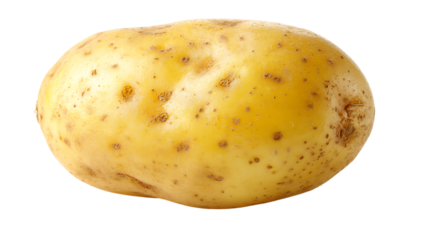 One yellow potato with brown spots on transparent background, unpeeled whole vegetable