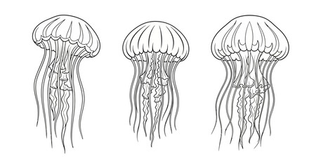 Simple line drawing of three jellyfish with flowing tentacles illustrated © Design lens
