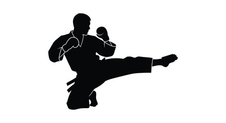 Dynamic silhouette of a martial artist performing a powerful side kick in a combat stance silhouette