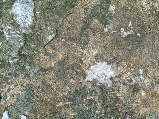 Old Weathered Wall Texture with Moss and Stains Background