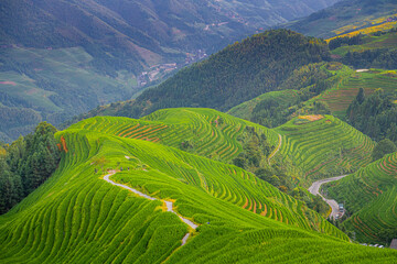 The longji rice terrace viewed from the viewpoint 2 thousand layers to the heaven. Longsheng, China