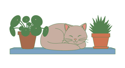 Cozy cat napping peacefully between potted plants on a shelf cozy home decor adorable pet relaxation scene isolated on white background