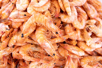 Fresh Shrimp Displayed at Fish Market. Seafood