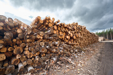 Large stack of freshly cut logs in a log yard under a cloudy sky near a forest area