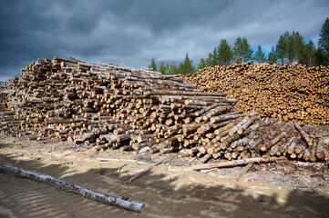 Log yard with stacks of logs ready for processing under cloudy skies