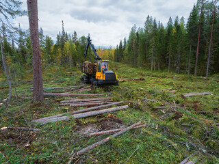 Machinery harvesting timber in a forest during autumn from an aerial perspective