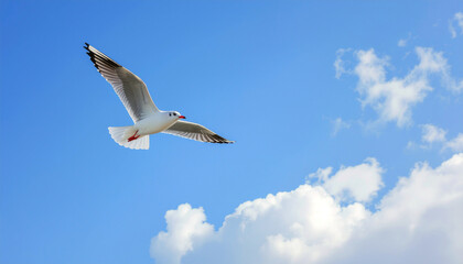 A single bird flying freely in the clear blue sky, symbolizing clean air and environmental purity, captured in bright natural daylight