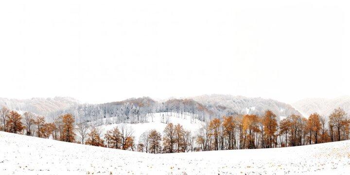 Forest borders landscape outdoors scenery.