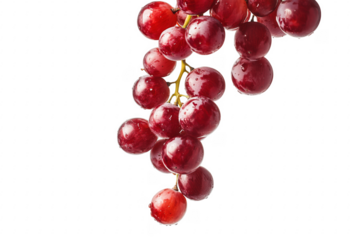 Ripe Red Grapes Bunch isolated on a transparent background