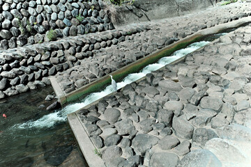 長崎の川で狩りをする白サギ