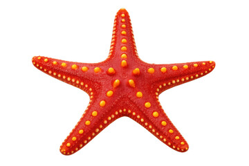 Red starfish isolated on transparent background, a marine invertebrate animal