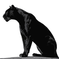 silhouette of a bear