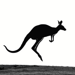 kangaroo vector illustration
