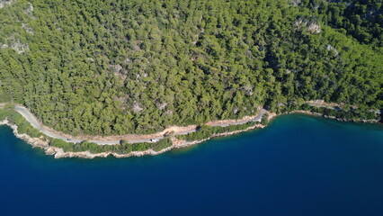 Aerial View of Sea and Forest Contrast