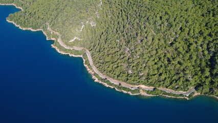 Aerial View of Sea and Forest Contrast