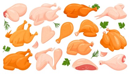 Assorted cartoon raw and cooked poultry cuts with herbs