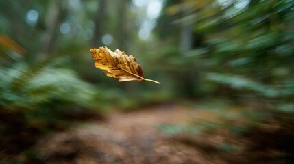Obraz premium Floating autumn leaf in motion blurred forest background, capturing the essence of change and transcendence in nature's seasonal beauty.