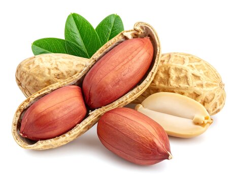 Close-up studio shot featuring peanuts, some shelled with green leaves