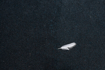 White feather resting on dark textured sand. A delicate white feather lies alone on dark sand, creating a minimalist composition and emphasizing contrast and simplicity
